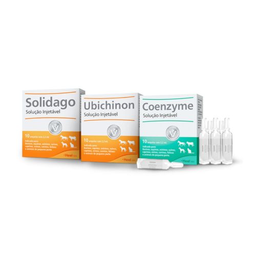 Protocolo SUC